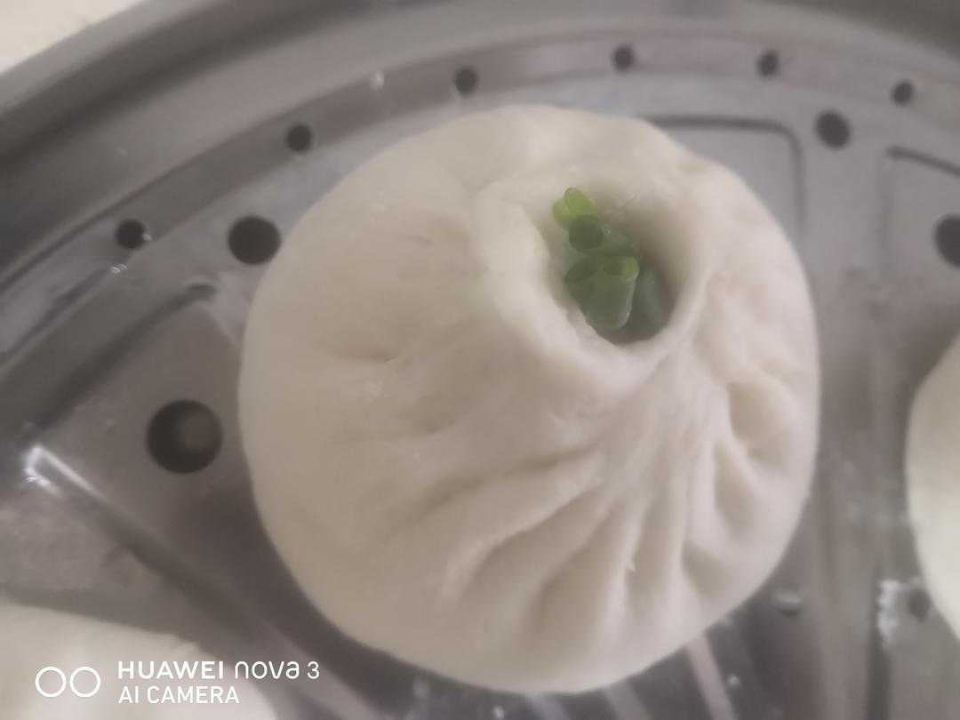 酱肉包子