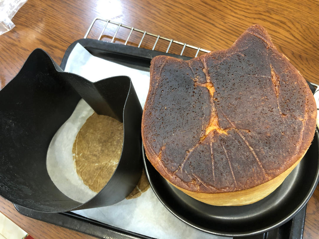 软噗噗萌哒哒的猫咪吐司