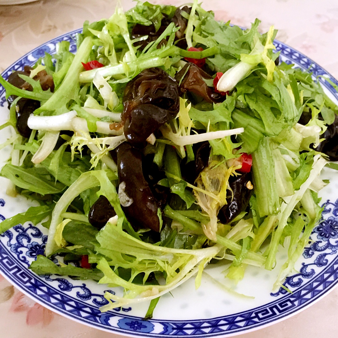 凉拌苦菊