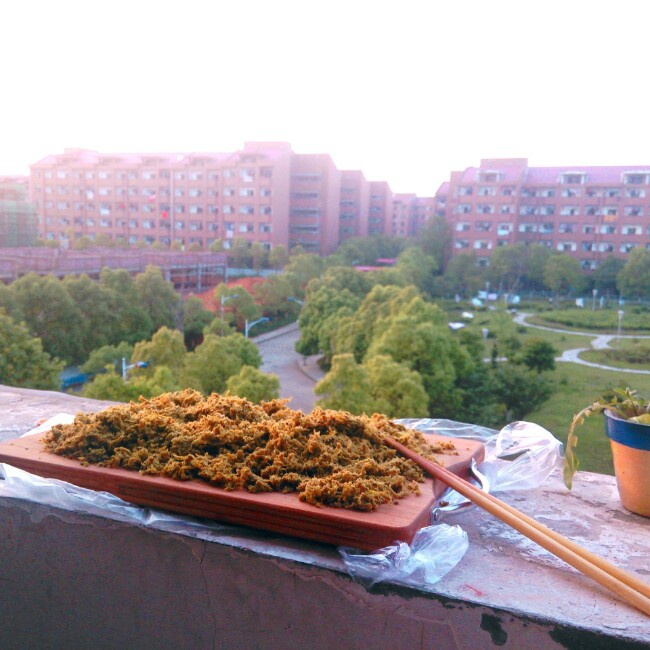 面包机自制肉松