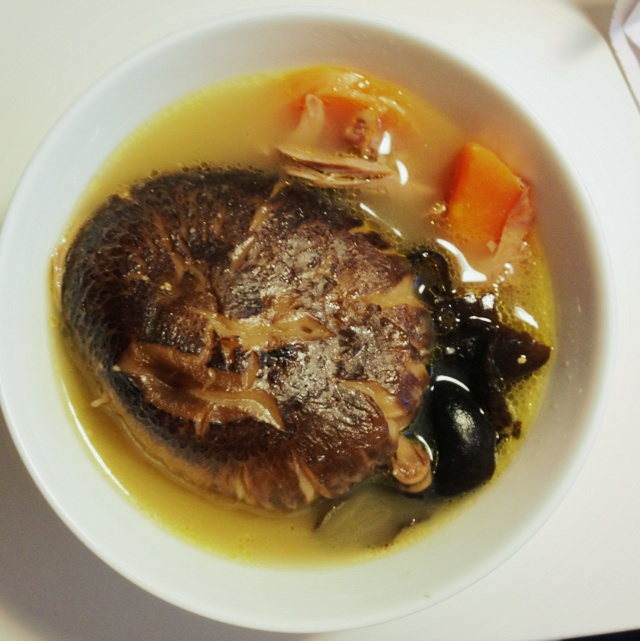 炖鸽子汤