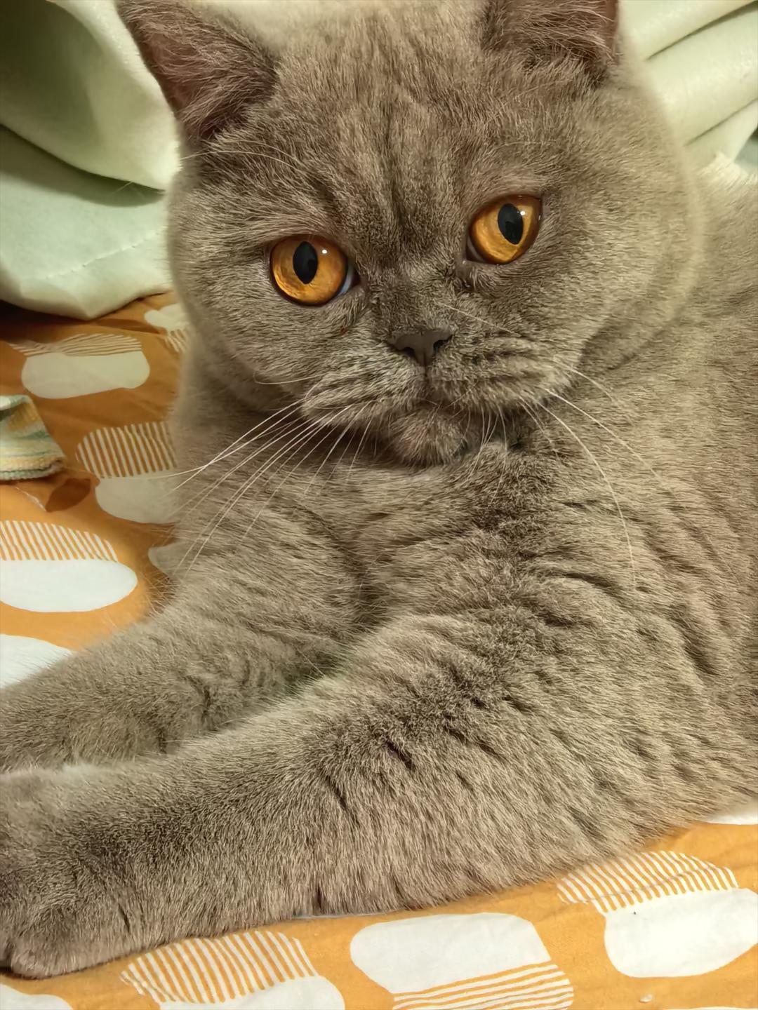 牛奶好了嘛