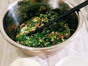 韭菜猪肉饺子的做法 步骤3