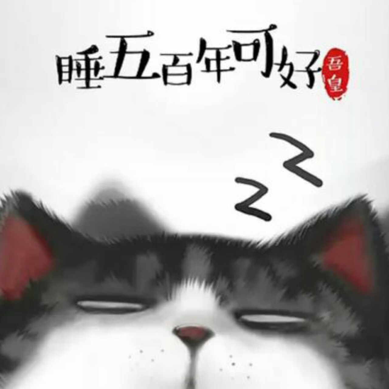 温暖的小尾巴
