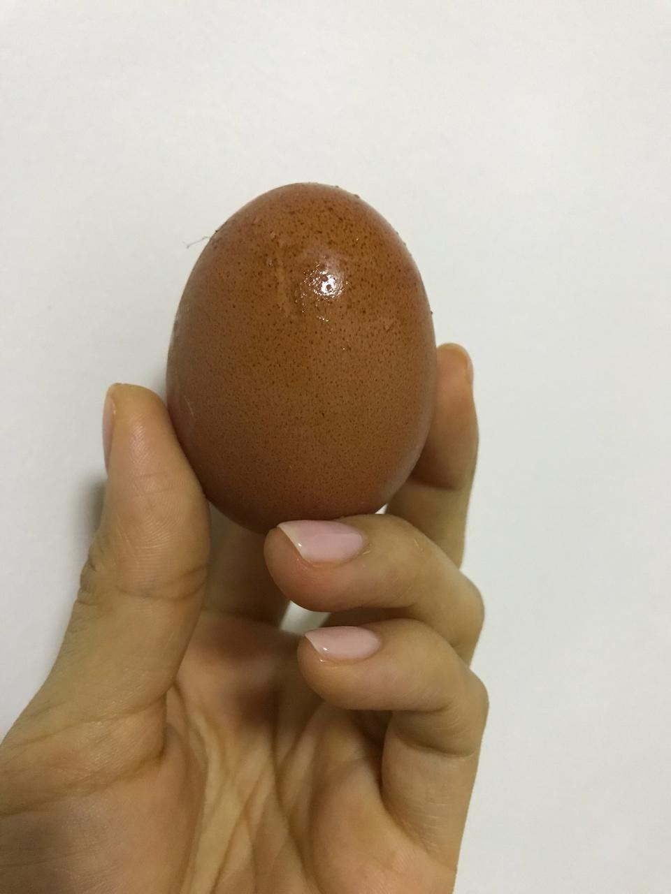 不吃早饭会发火( ・᷄ ᵌ・᷅ )