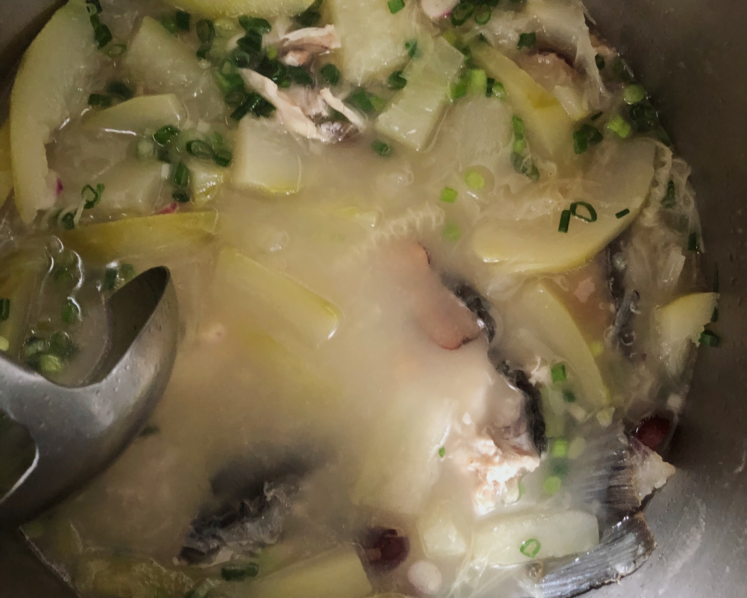 鱼翅瓜煲鱼汤的做法