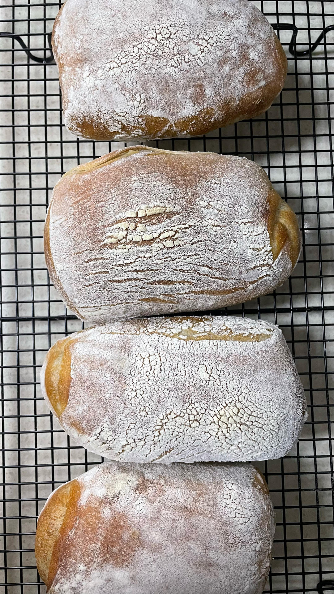 鲁邦种冷藏隔夜法恰巴塔Ciabatta（练习记录）