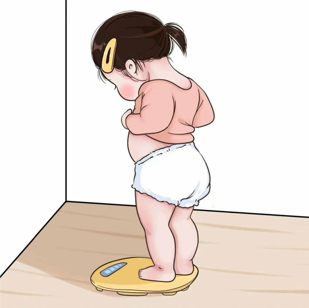 聪宝丶
