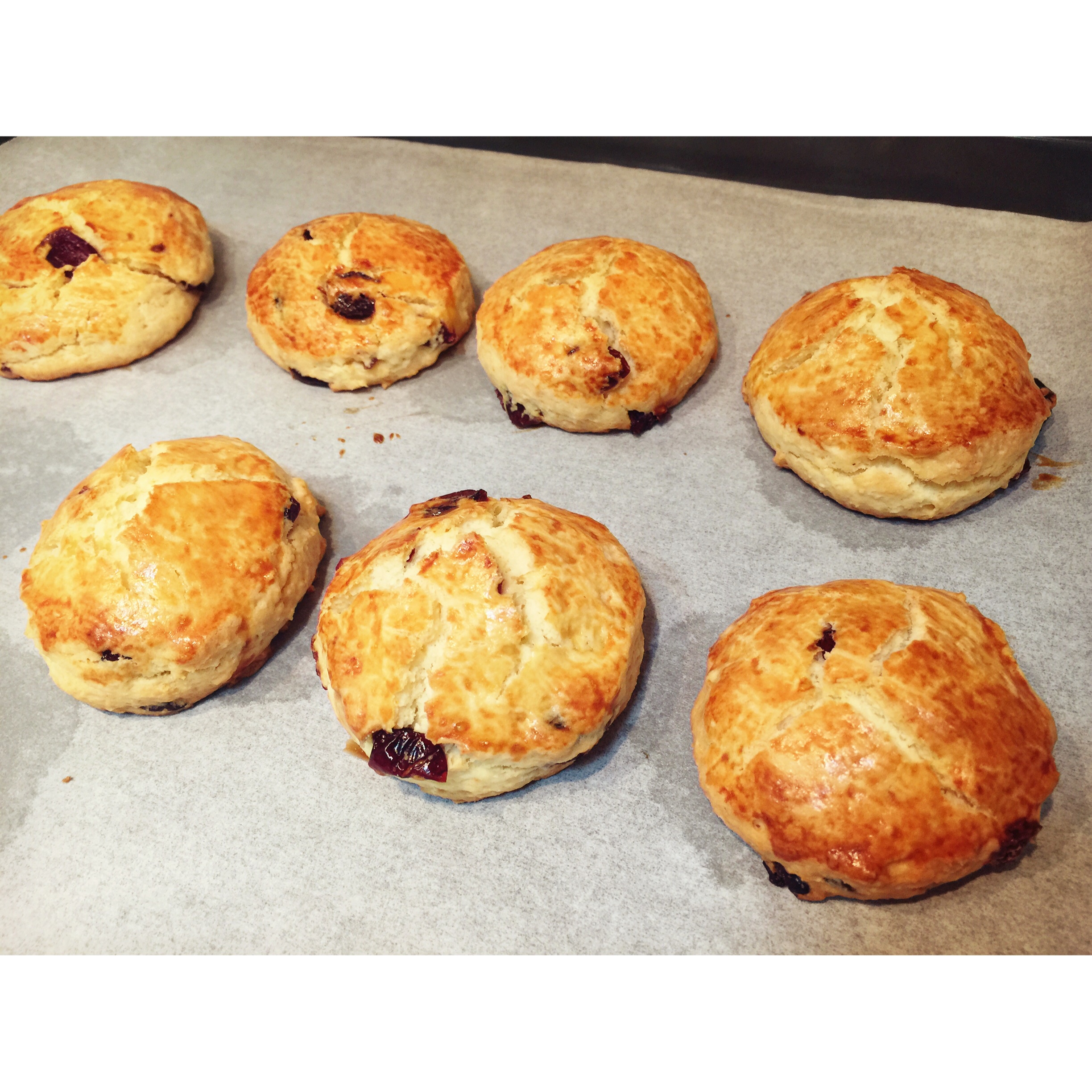 日式核桃司康--目前做过最好吃的方子