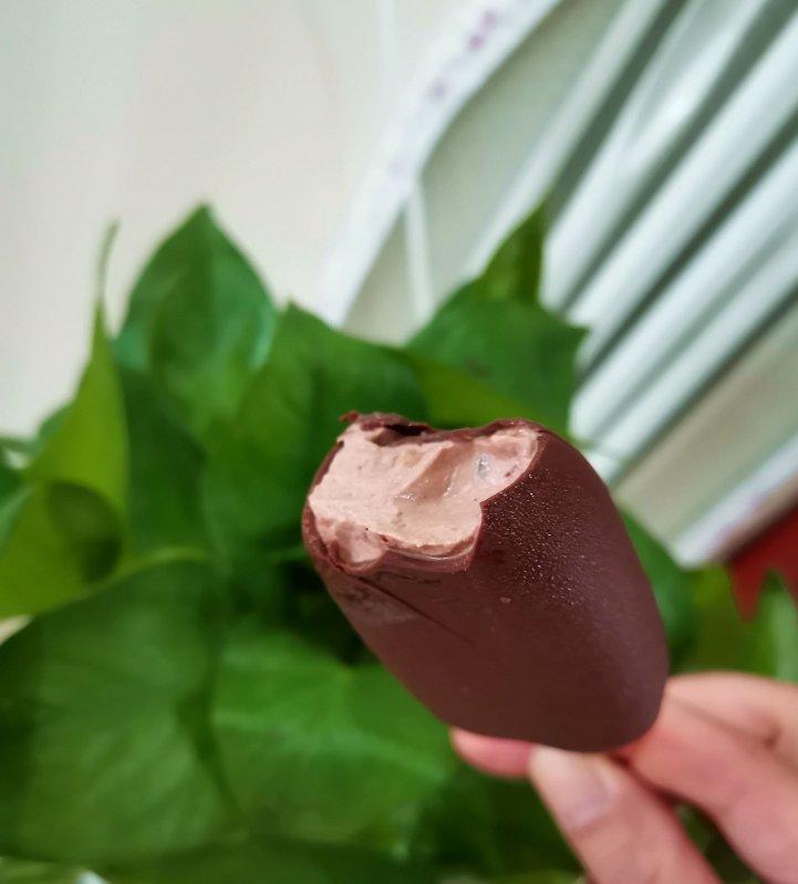 玛捷斯版无鸡蛋无打发零难度的巧克力梦龙雪糕