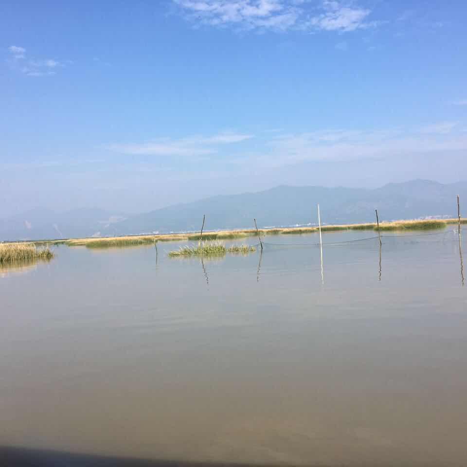 不爱鱼的猫宝宝