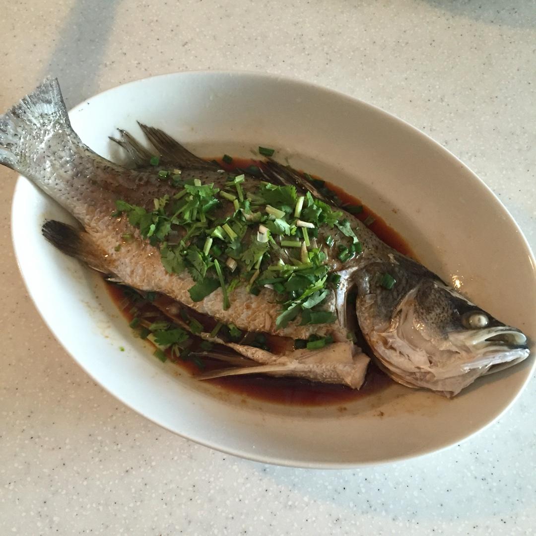 清蒸金目鲈（简易版）