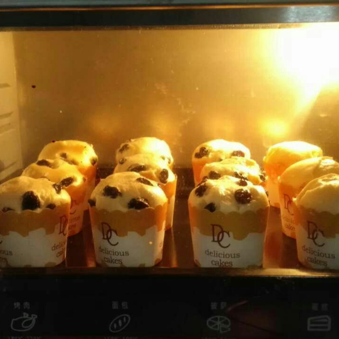 棉花纸杯蛋糕
