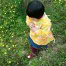 hbtcwlm