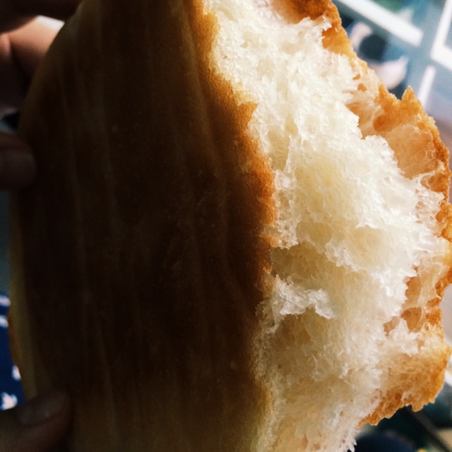 免揉迷你吐司（藤田千秋）