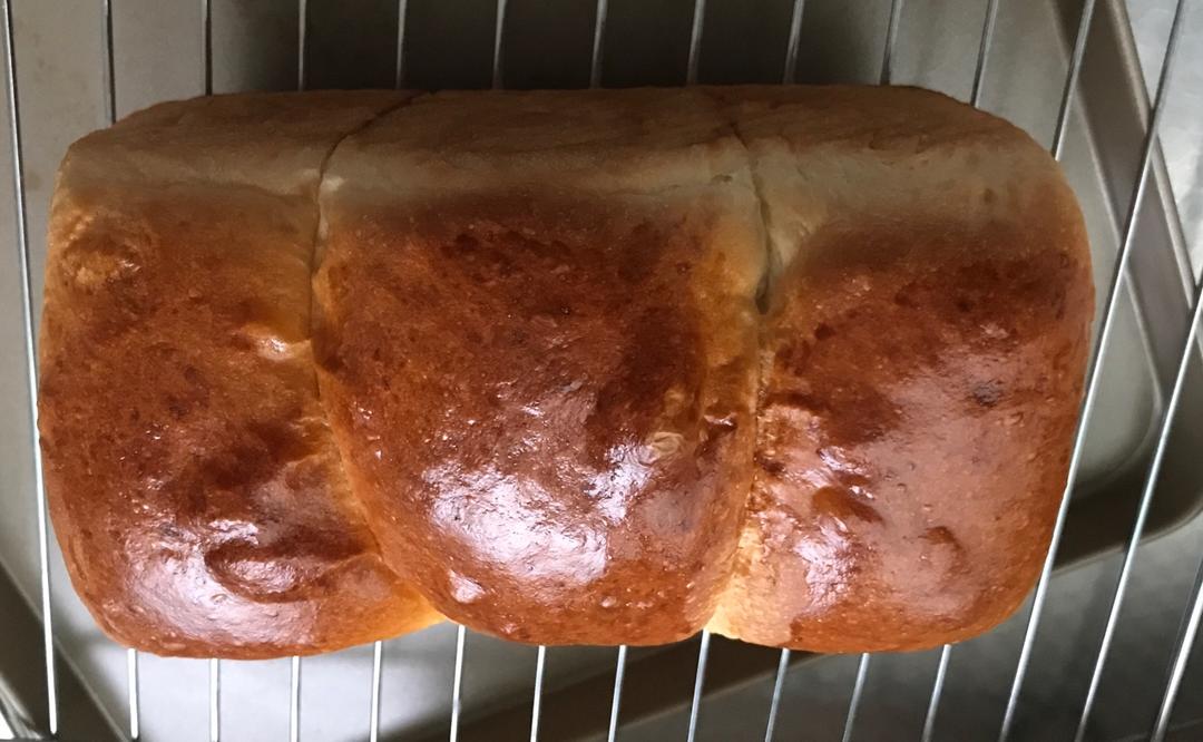 北海道吐司--100%中种