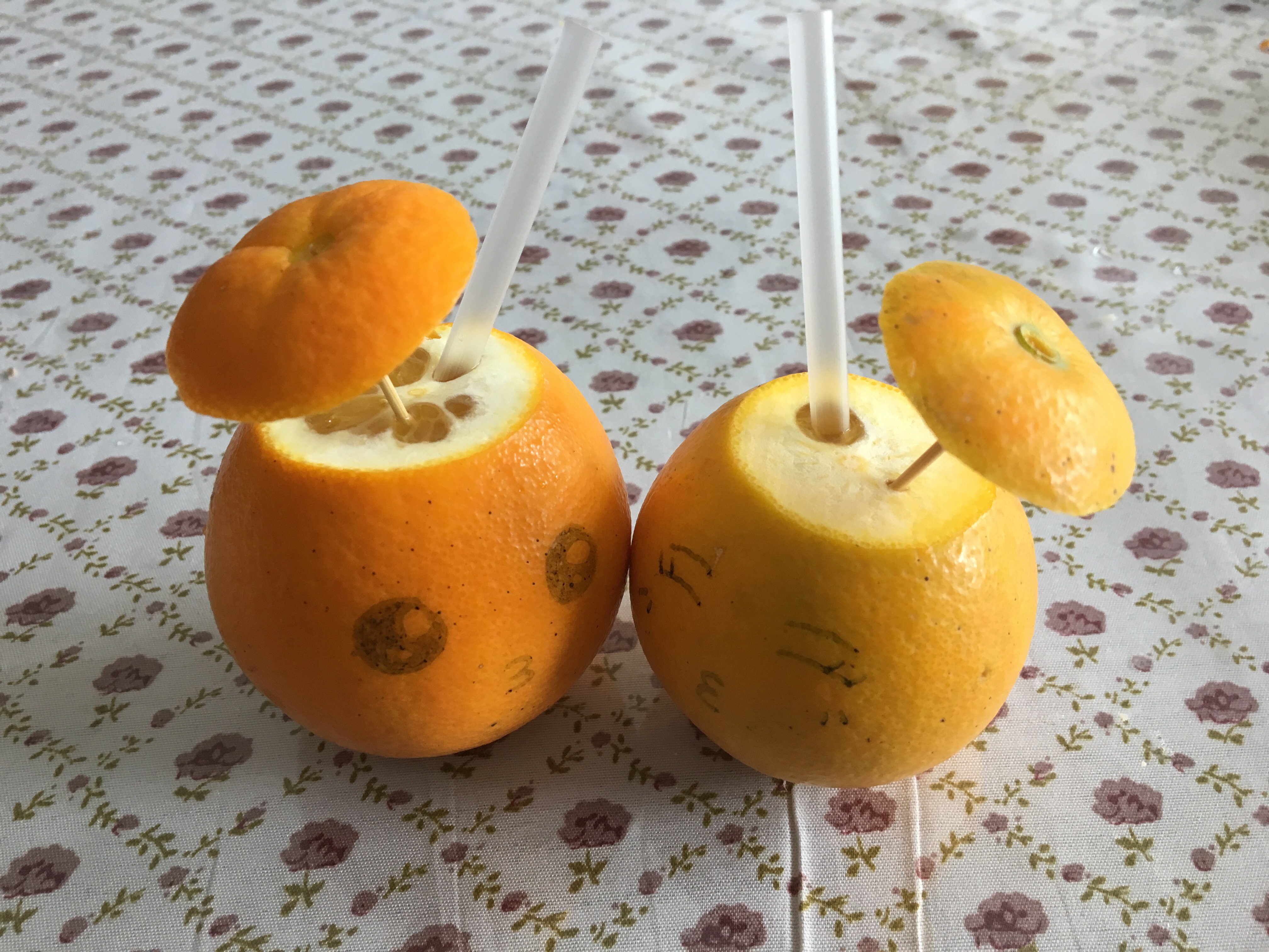 创意橘子之冬日恋歌的做法