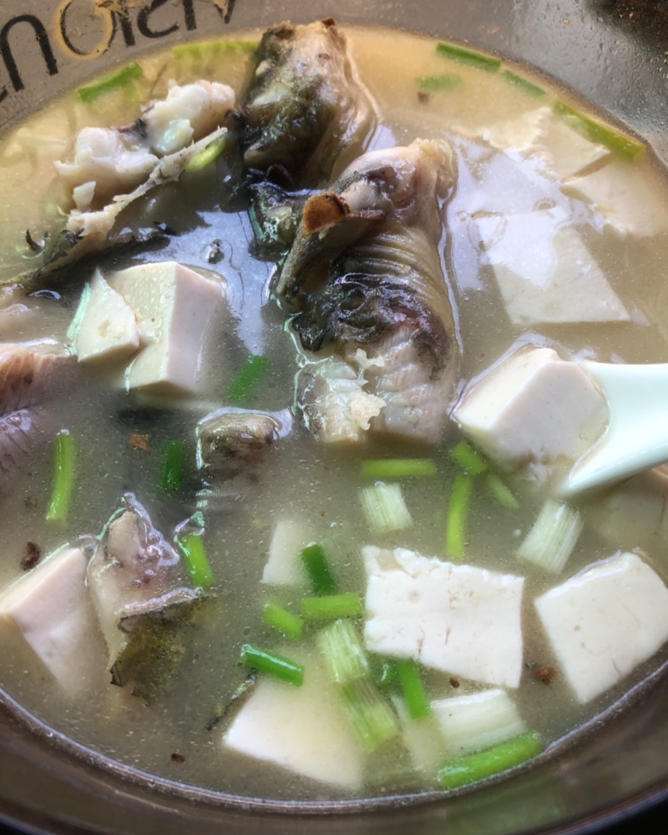 黄刺鱼炖豆腐