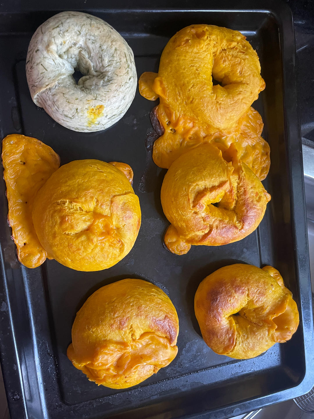 椰香南瓜乳酪贝果🎃属于秋天的暖色贝果