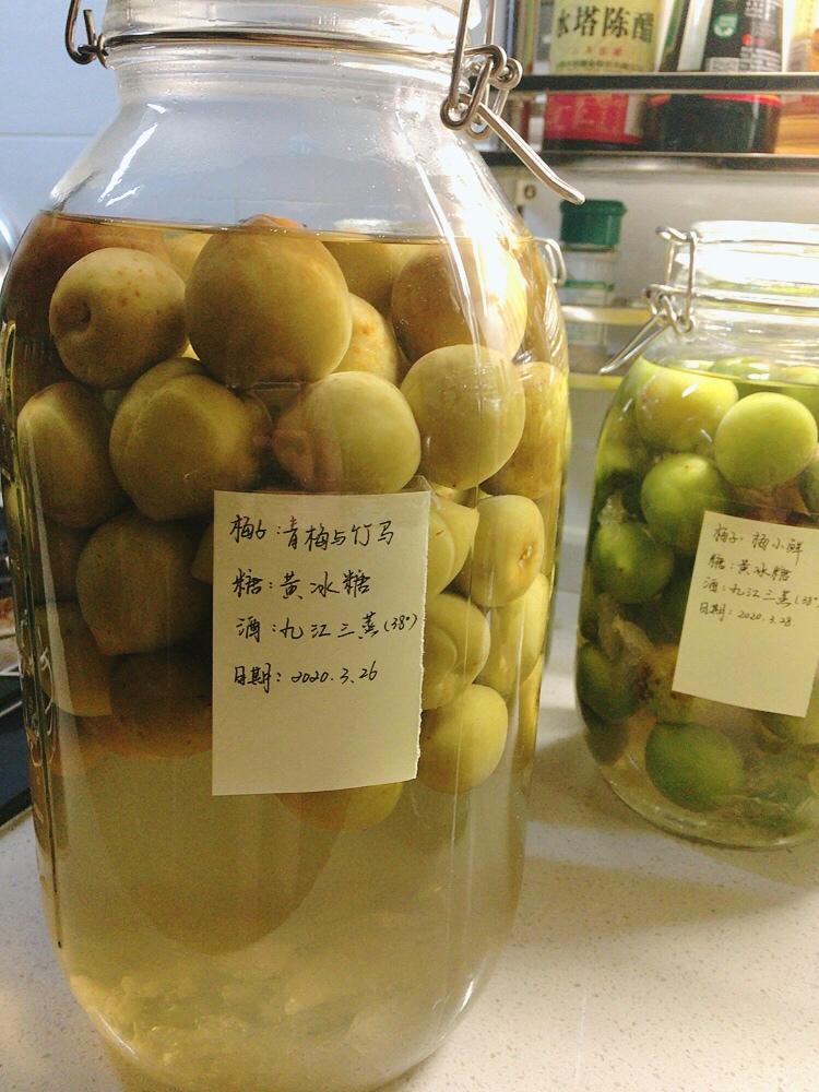 【青梅酒】梅子的沉醉时光（已填坑）