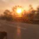 爱吃鱼的大大脸猫