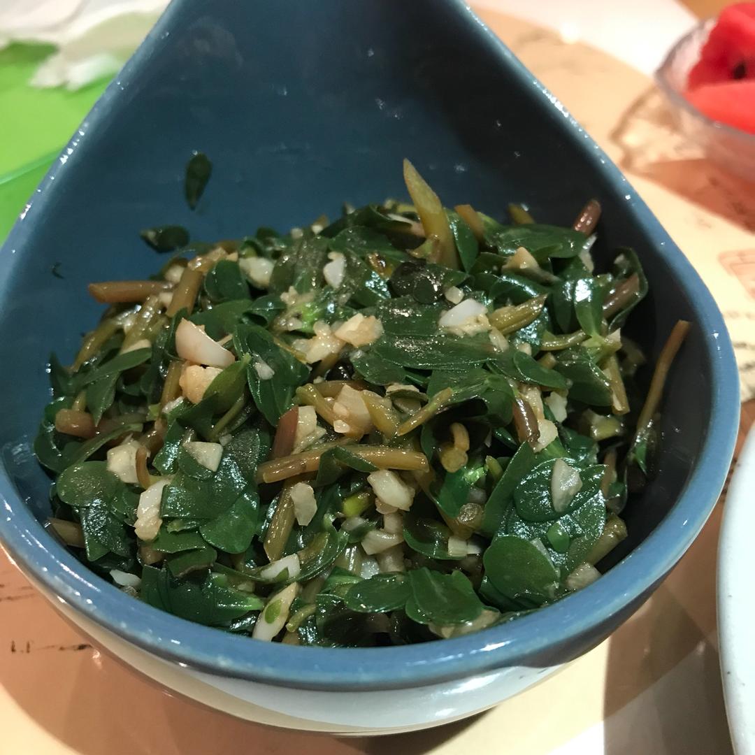 温温飞呀飞做的凉拌马马菜凉拌马齿苋