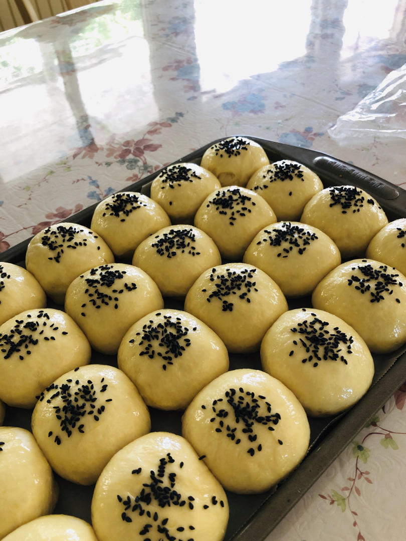 鲜奶油小餐包（一次发酵）