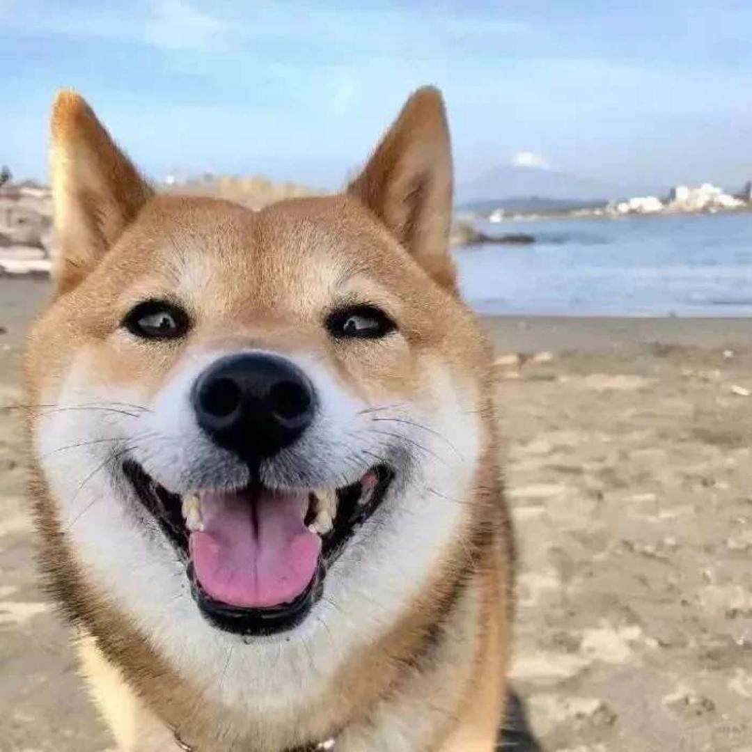 旅途l