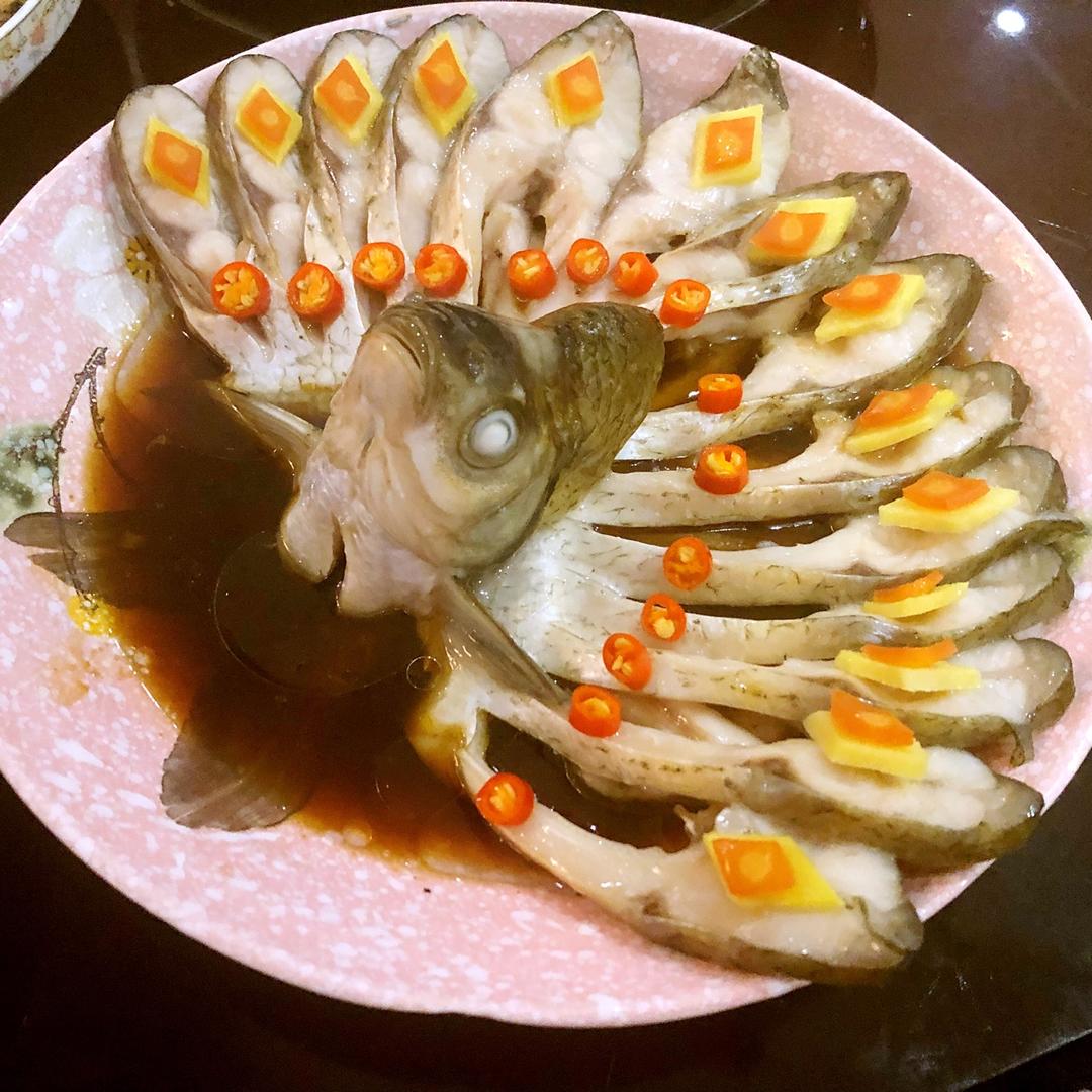 孔雀开屏鱼