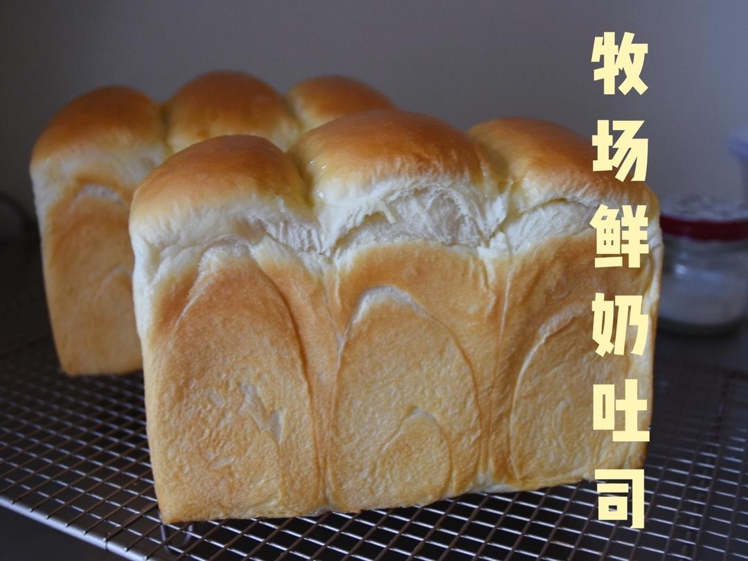 我的100次吐司记录🍞的做法 步骤31