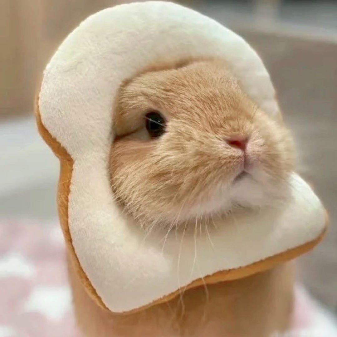 小珠大人