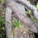 手机用户9404_p8zu