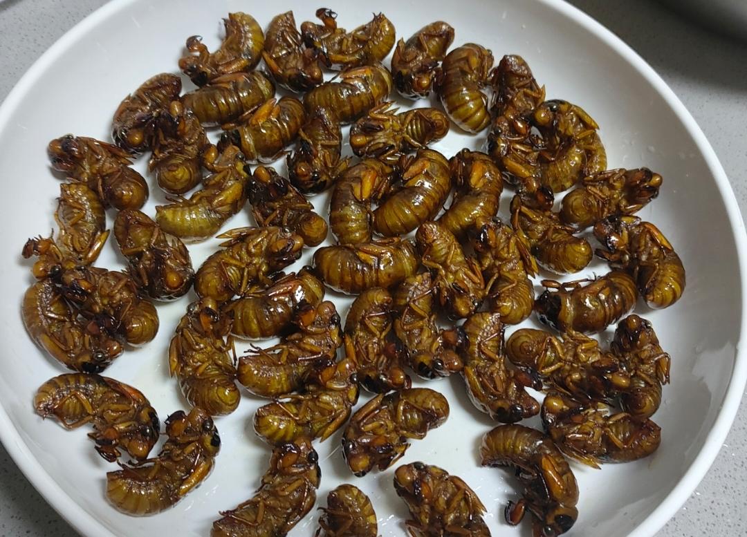 妈妈味道的炸金蝉