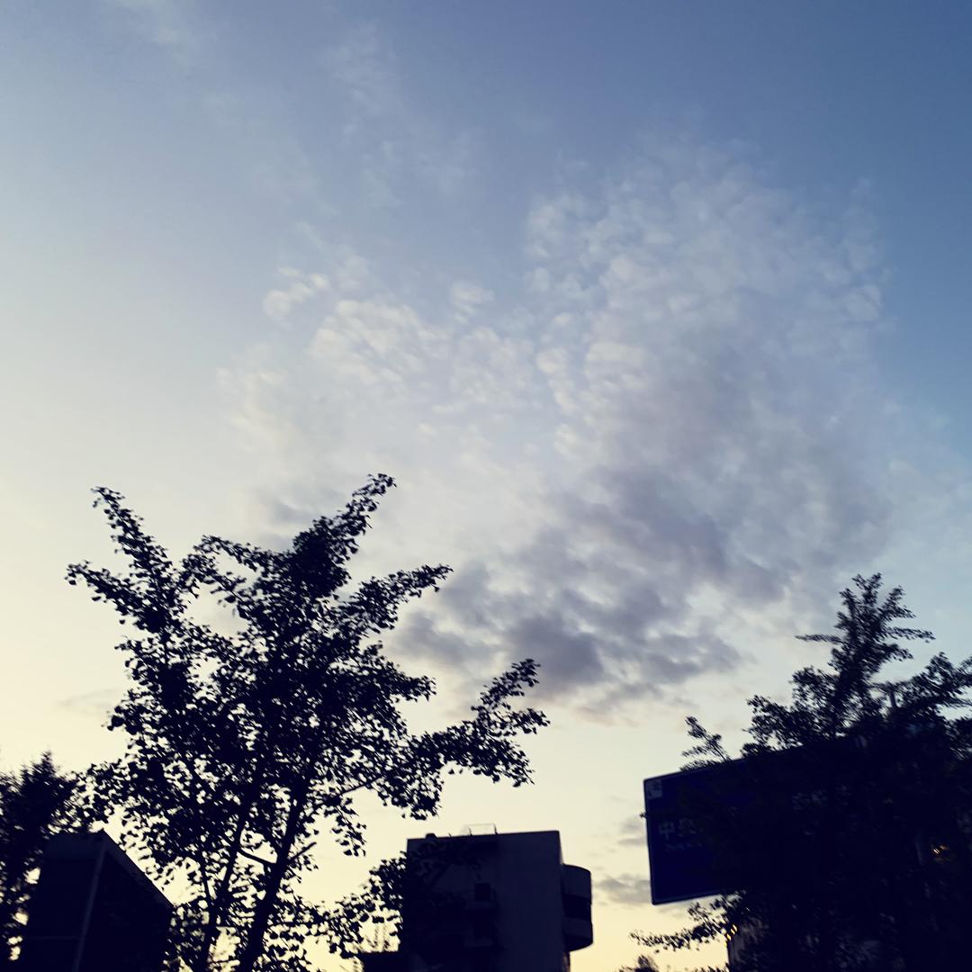 扬扬5287_r3v0