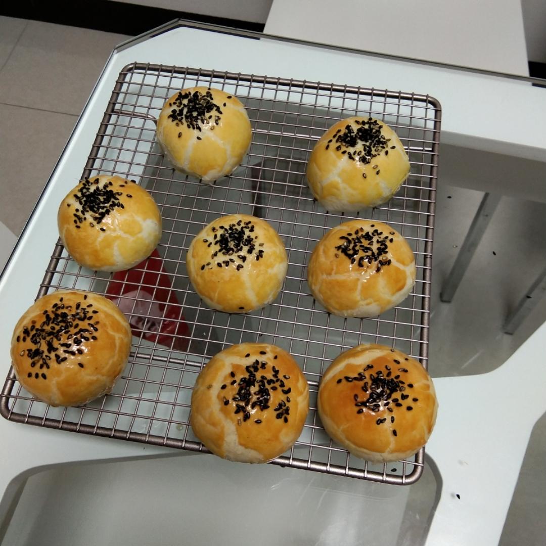 小小毛虫