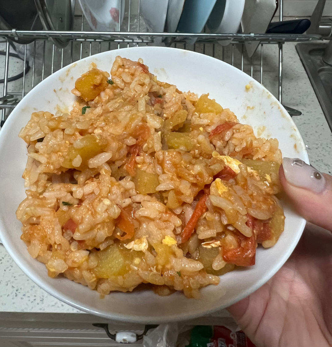 超级简单的西红柿烩饭