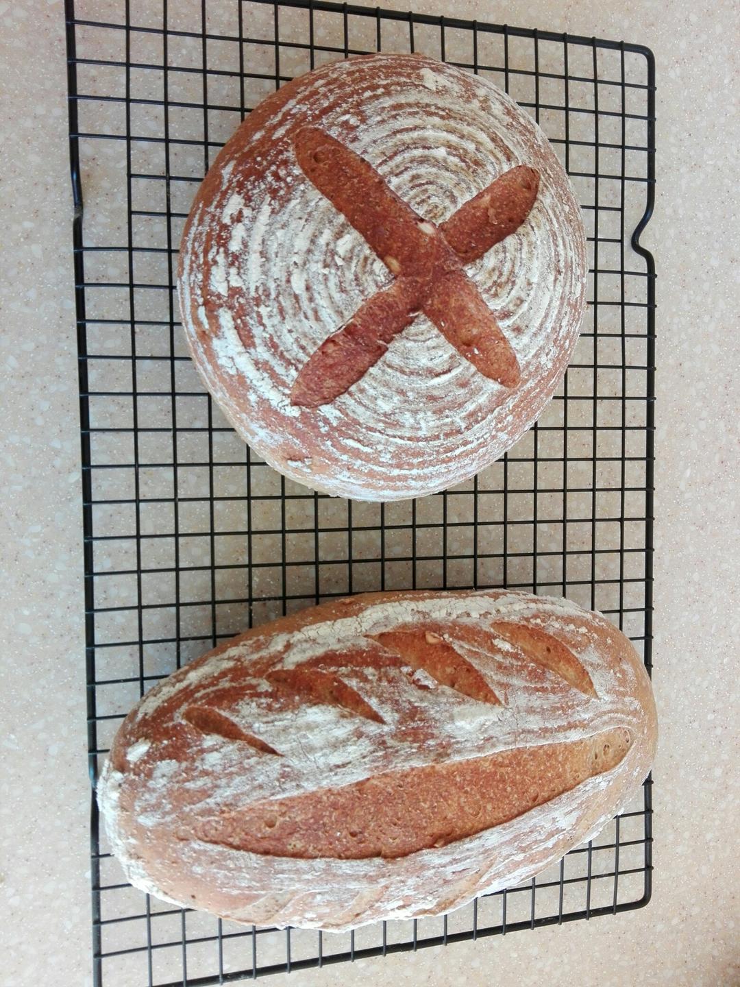 全麦面啤酒乡村面包