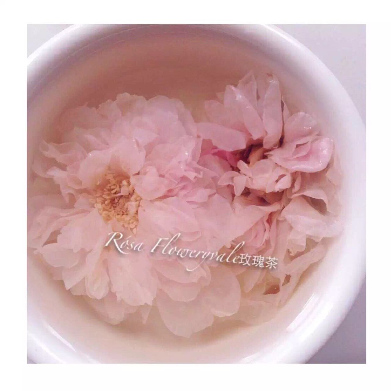 手机用户3335_fxml