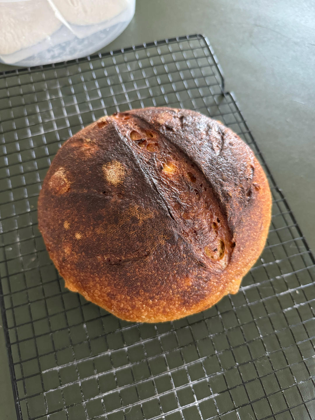 【Sourdough】天然酵种红薯欧包（附不同割包刀片使用体会）