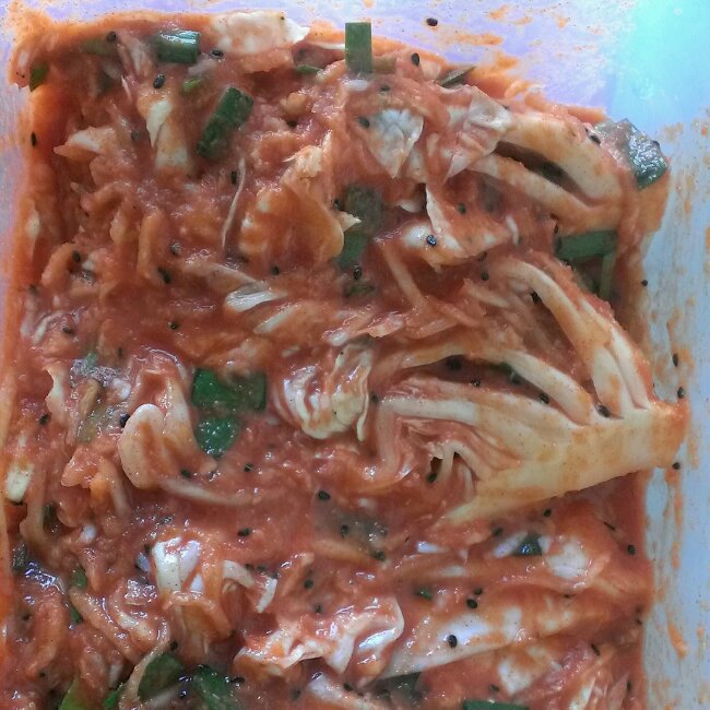 韩式泡菜