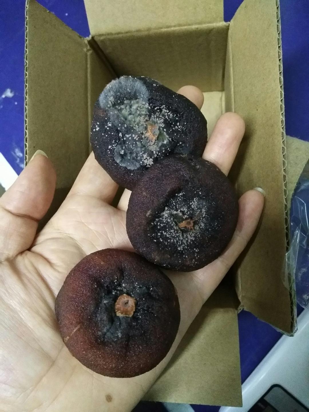 大晨小宇做的自制柿饼(圆柿饼)