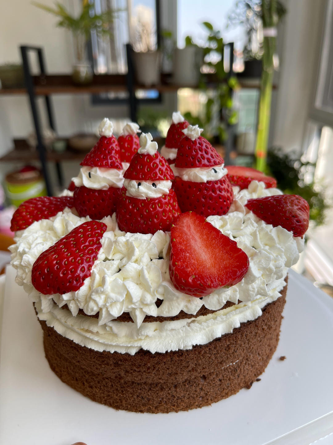 6寸草莓可可裸蛋糕实操攻略 ！手残党也能一次就成功