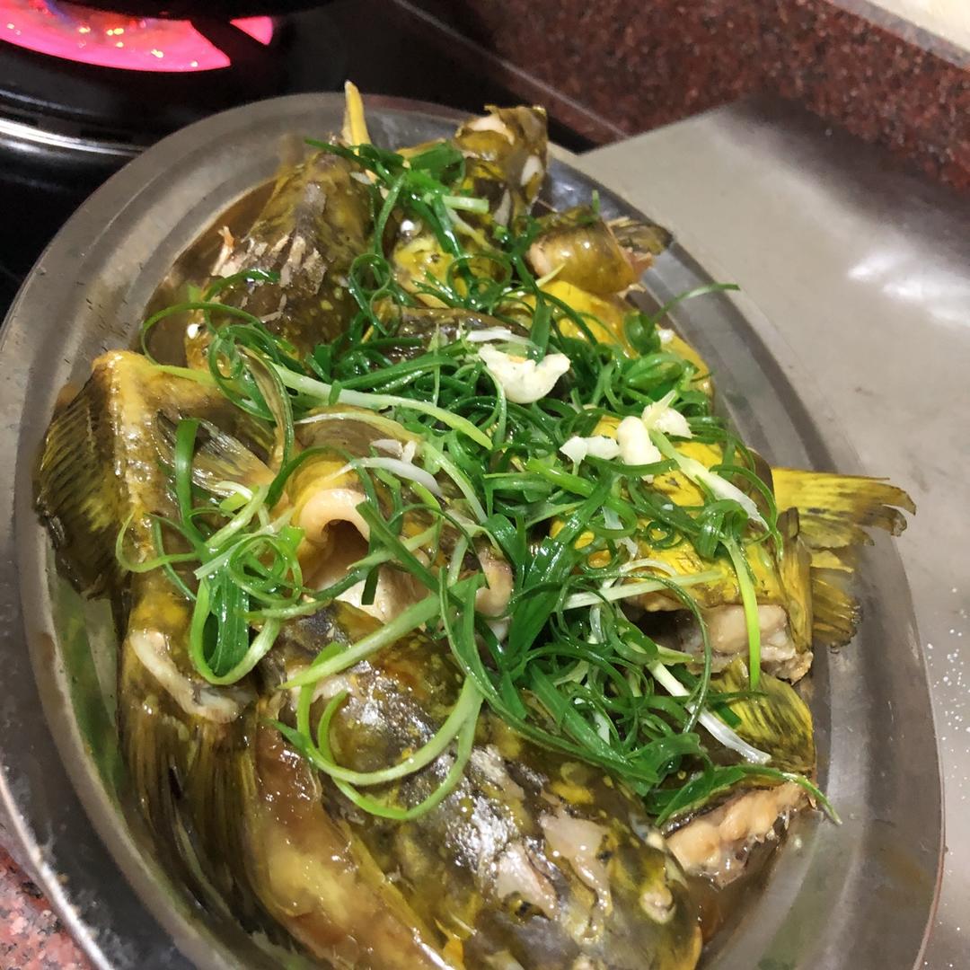 清蒸黄蜂鱼