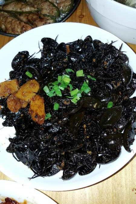 君君ada做的和味龙虱