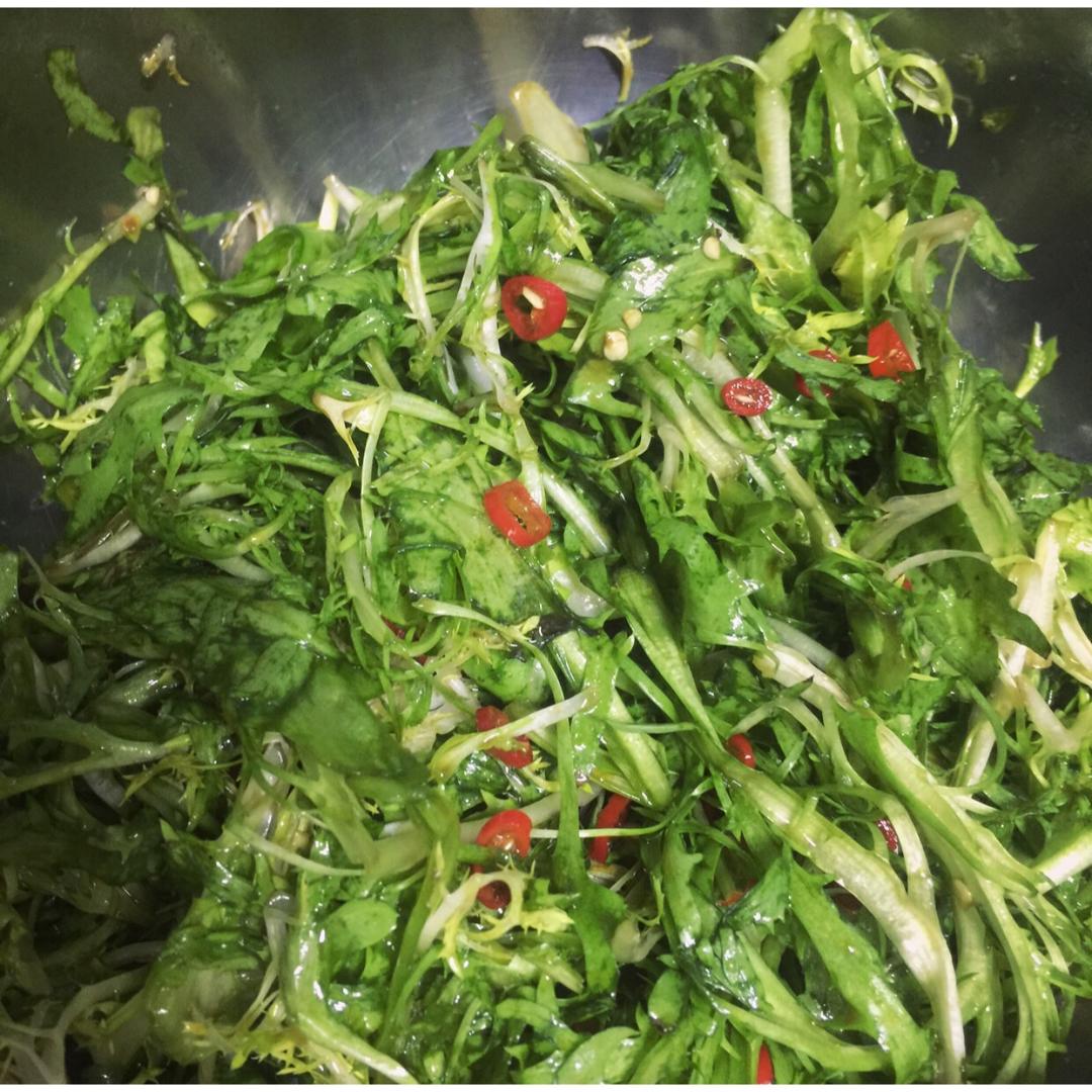 凉拌苦菊