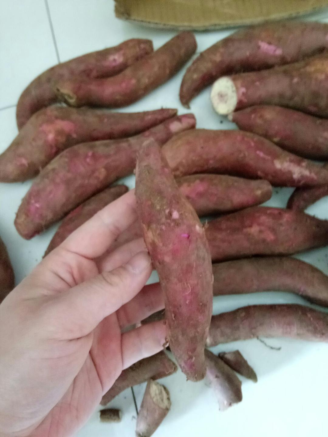 大-松子的评价图片