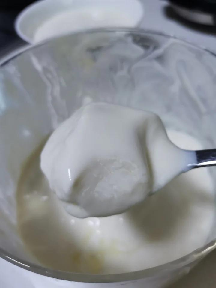 自制老酸奶