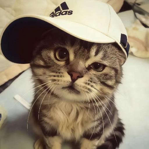 無訫