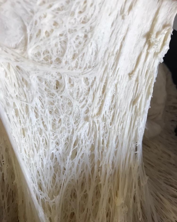 天然酵母老麵糰