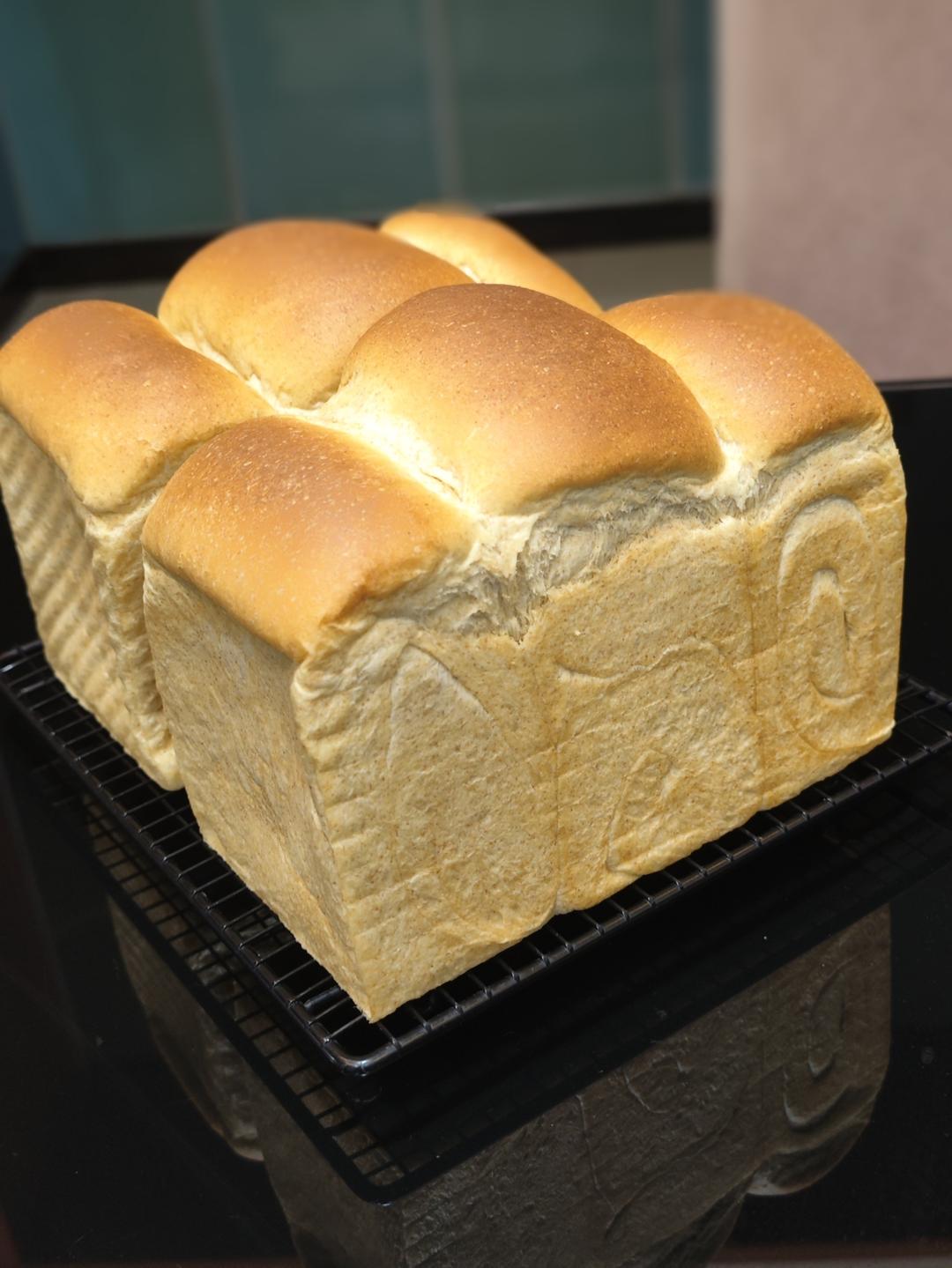 黑全麦波兰种吐司，这么柔软简直怀疑你是个假全麦！